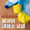 대청소