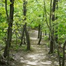 #[강화군 여행] 강화도 인싸들의 핫풀, 강화도 전망대, 씨사이드 리조트 루지 ..........22 이미지