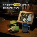 유기동물들을 돕고자 전액후원 프로젝트를 시작했습니다. 이미지