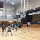 선진체육관 이미지