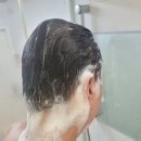 바우어마트 | [샴푸추천] 맥주효모탈모 샴푸"바이아우어" 탈모샴푸 추천