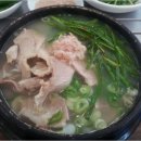 돼지가그냥조아 이미지