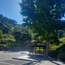 2025.08.30. 백두대간(철쭉군락지주차장 ~봉화산~광대치 ~대상동경로당 12.74km 7h26m)..대덕산우회.. 이미지