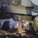 시장국밥 이미지