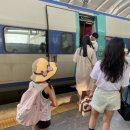 오송우리약국 이미지