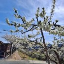 신태문 | 대구맨발걷기/대구팔공산걷기/대구도동측백걷기/대구이태길/대구신태문/대구공구 산업용재관 기산공구.