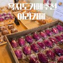 아라쇼핑 | 욕지도 카페 추천 고구마빵 감자빵이 있는 아라 카페 방문후기