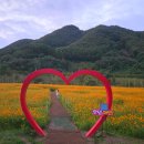 재인폭포공원 입구 | 🌼 10월 연천 재인폭포 여행, 가을빛 물든 황화코스모스와 출렁다리 산책 코스 가을출사 추천