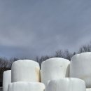 창성축산 이미지