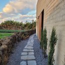 판포2060 이미지