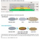 인텍플러스