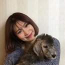 모노모노몽 이미지