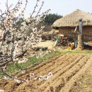 낙안빌딩 이미지