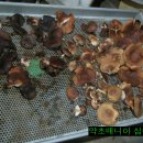 구광식당 이미지