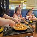 무무관 에이스 도장 | 대전 서구 복수동 별하무무관 에이스합기도 | 아이들과 함께한 에버랜드 체험학습 후기 🌈