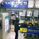 남대문 투어 | 남대문꽃시장, 남대문야채호떡, 테카포 내돈내산 후기