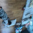 무지개아동병원 이미지