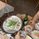 스지고집 이미지