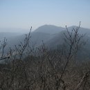 말밥 이미지