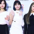 모모 이미지