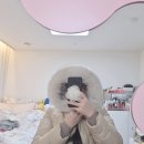 헤어오율