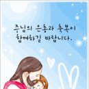 김선경 카카오 검색결과