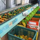 신북농장 이미지