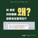 하이주부 이미지