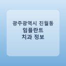 임정수 | 광주광역시 진월동 임플란트 평균 가격과 후기 정리