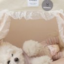 꼼지락 강아지 네이버블로그