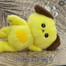 9월 1주차 일상 :: 남다른 여름 마지막 바다 여행