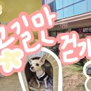 다송로72번길 이미지