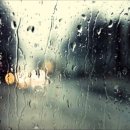 그집짬뽕&돈가스 이미지