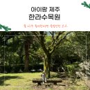 제주공항근처 아이랑 한라수목원 코스