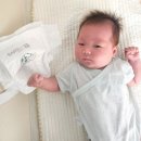 신생아 기저귀 밤보네이처 밤보그린 후기 강추