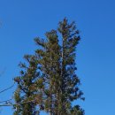 터무니하우스 이미지