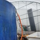 치마골농장 이미지