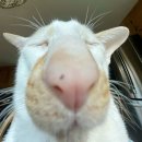 창룡도서관 2강의실(동아리용) | 개강 후기