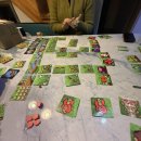 세인푸드 | 2025 보내준다 🥺