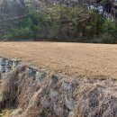 소로리 농장 이미지