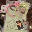 X랜드 | 에버위시 에버랜드×위시콜라보 방문후기