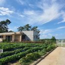 마스테이 이미지