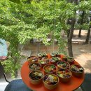 올데이 밀 이미지