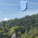 산 옆 아파트 아트홈케어 미세방충망으로 교체한 후기