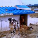 순덕농장 이미지