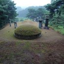 9. 전반기 벌초 이미지