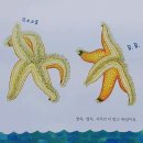 자연아놀자주식회사 이미지