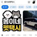몽이네펫택시 네이버블로그