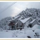 올림픽펜션 이미지