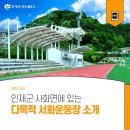 서화생활체육공원 운동장 네이버블로그
